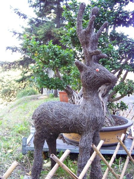 Виставка квітів