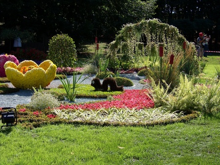 Виставка квітів