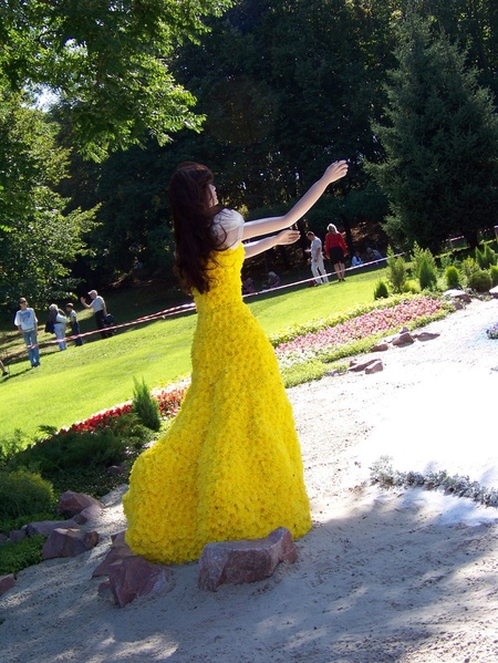 Виставка квітів