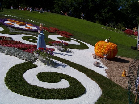 Виставка квітів