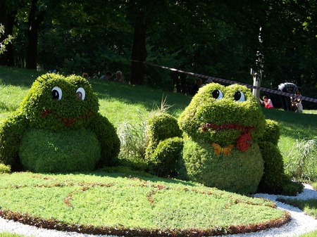 Співоче поле