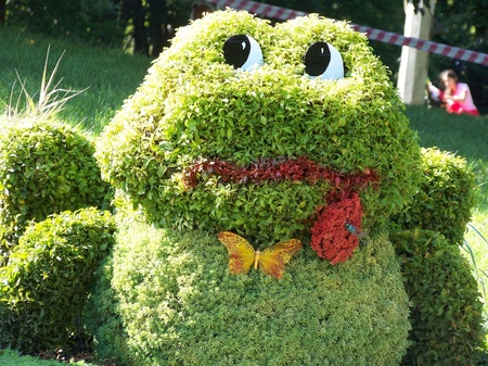 Співоче поле