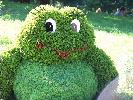 Співоче поле