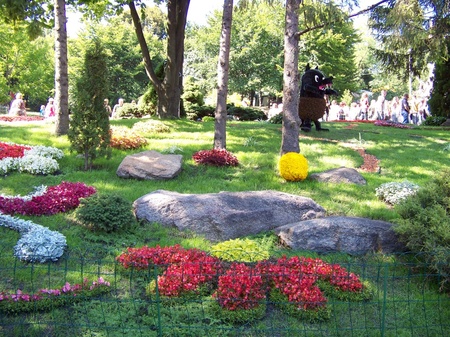 Виставка квітів