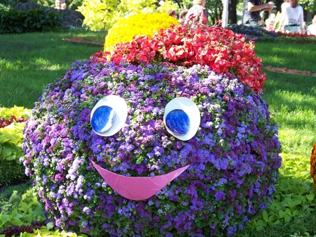 Виставка квітів