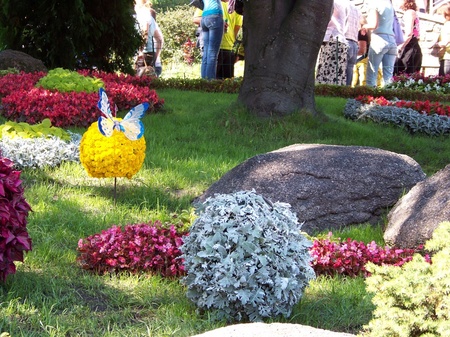 Виставка квітів