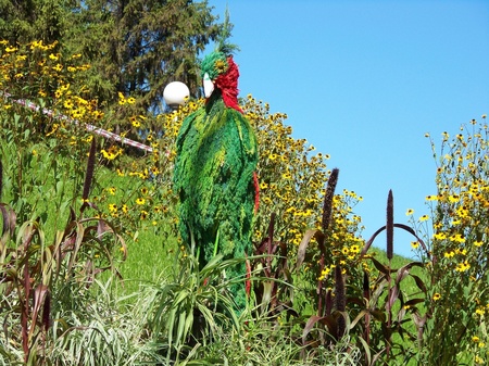 Співоче поле