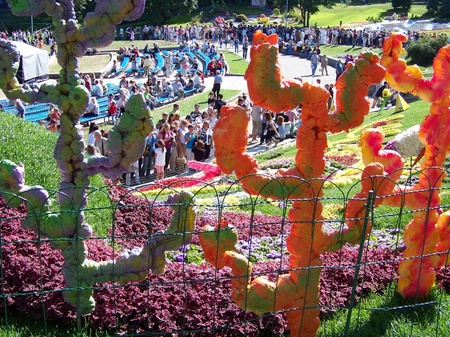 Співоче поле