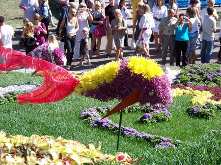 Співоче поле