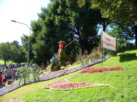 Виставка квітів