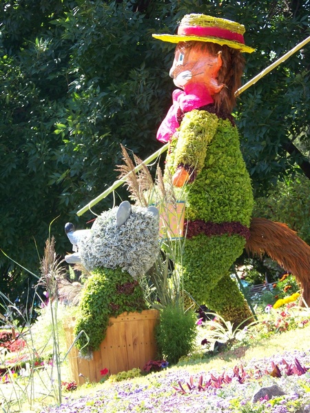 Виставка квітів