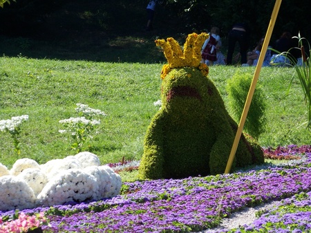 Виставка квітів