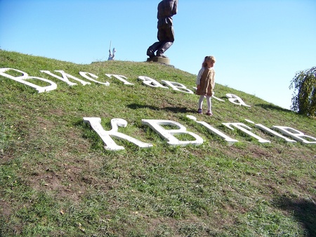 Виставка квітів