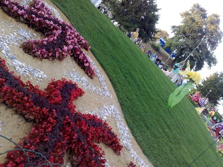 Виставка квітів