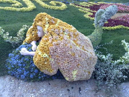 Виставка квітів